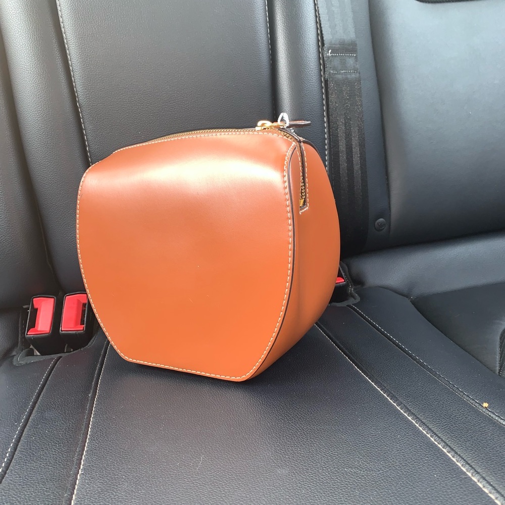 NWT STAUD Frida Leather clutch bag
